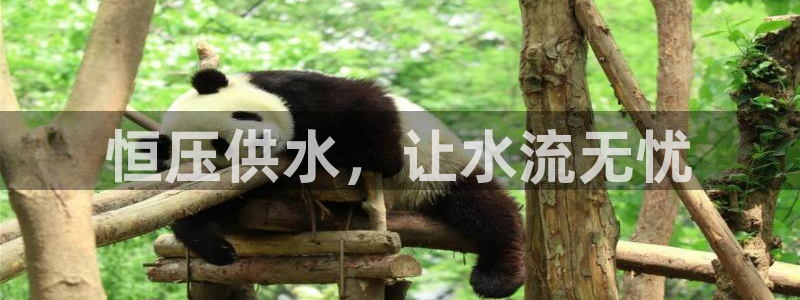 球友会入口