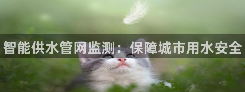 球友会网站多少