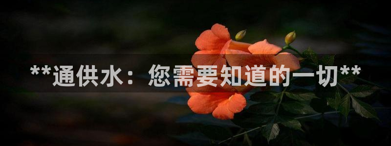 球友会比赛结果查询