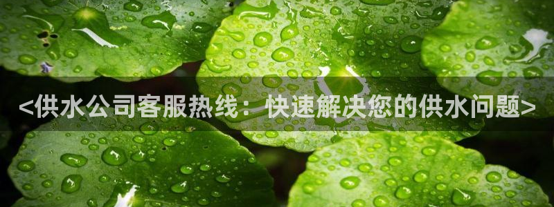 球友会体育