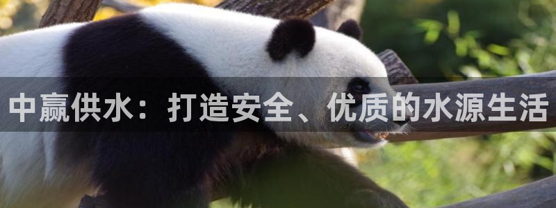 球友会下载