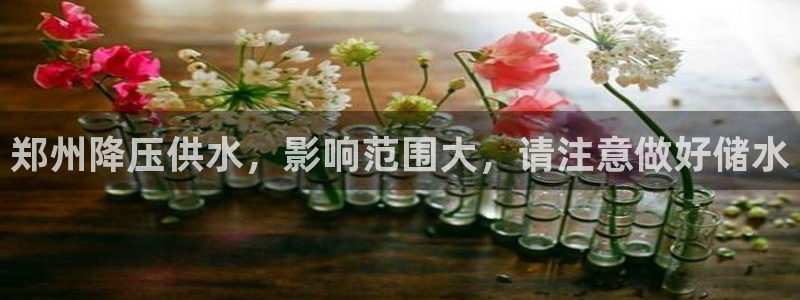 qy球友会体育官下载
