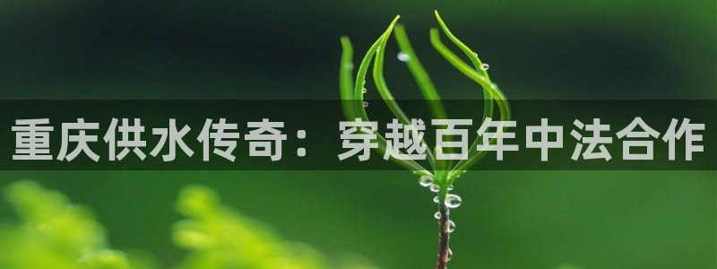 球友会台球俱乐部在哪