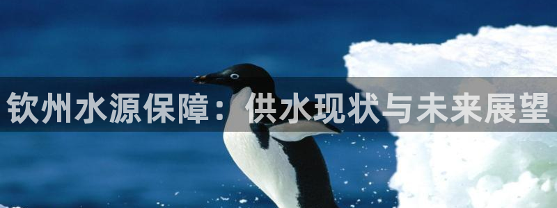 球友会台球俱乐部