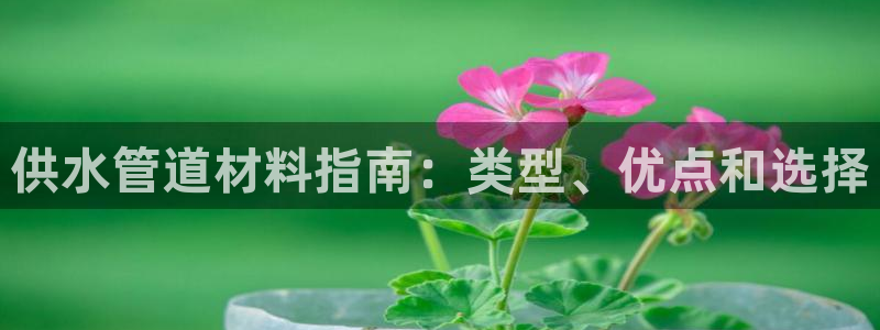球友会app官方网站