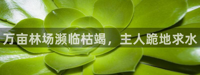 球友会app