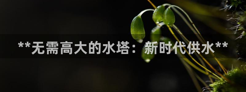 QY球友会体育官方平台