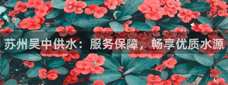 球友会官方网站入口