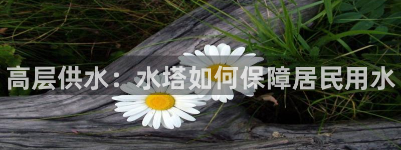 球友会下载