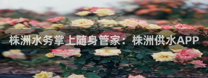 球友会apy
