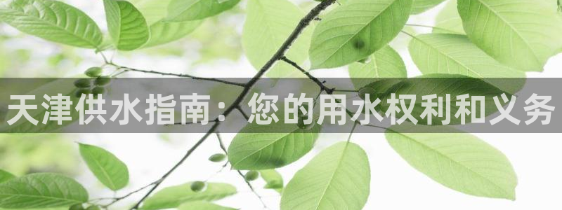 球友会提现不到账