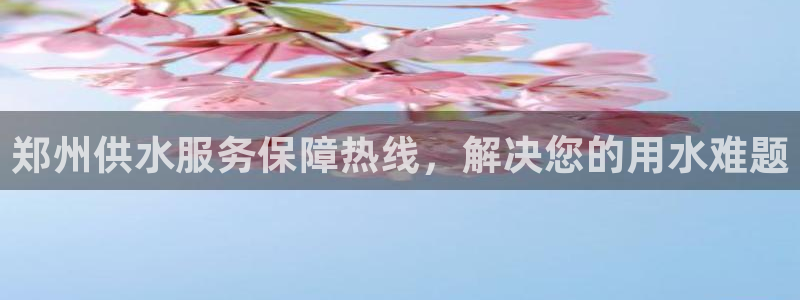 球友会登陆