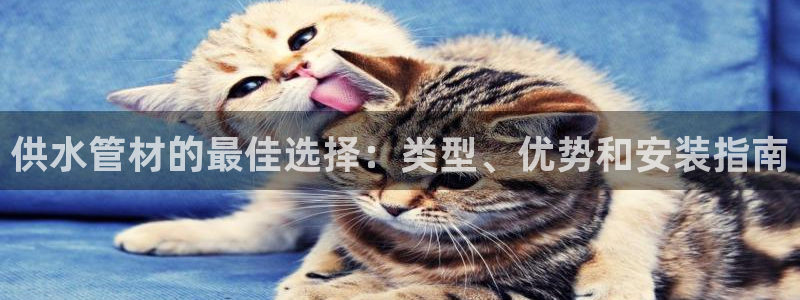 球友会官方网站入口
