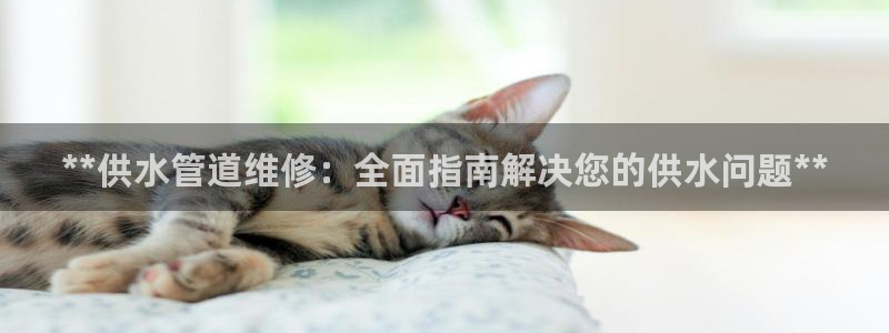 球友会娱乐