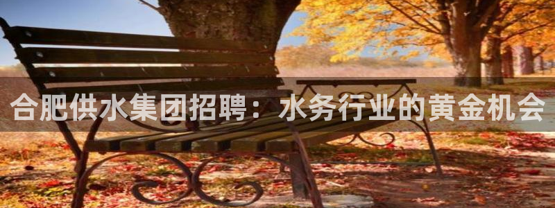 球友会比赛结果查询