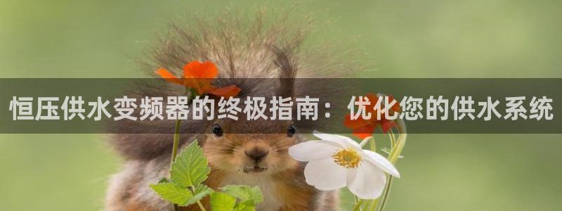 球友会体育app下载官网安卓