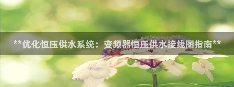 球友会赛程