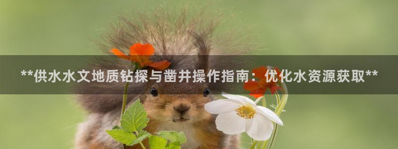 qy球友会体育(中国)官方网站