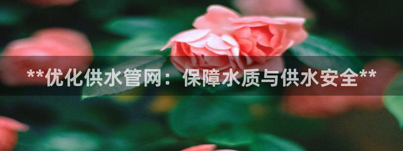 球友会网站多少