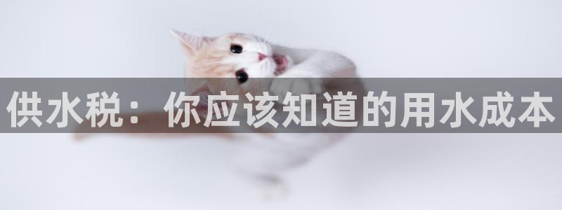 球友会是不是大平台