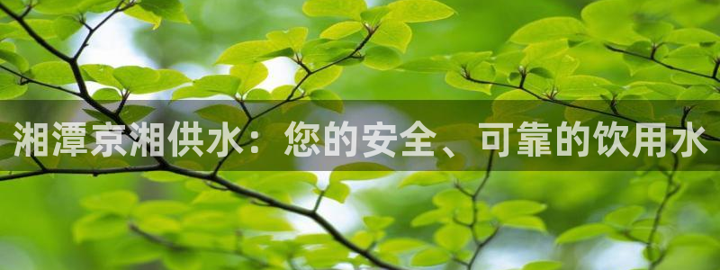 球友会app官方网站入口