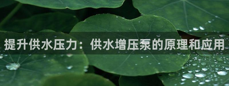 球友会登录地址