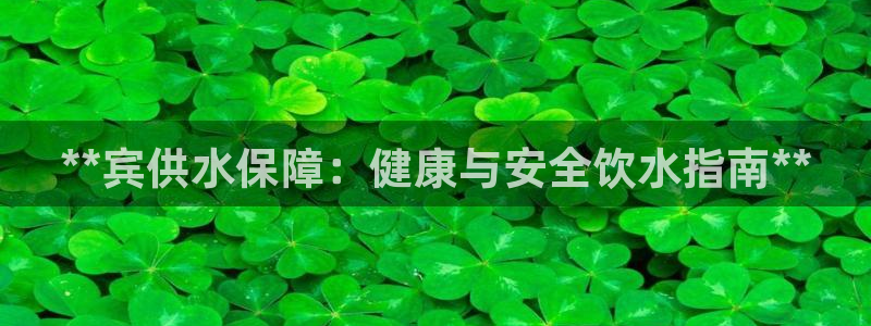 qy球友会体育官网下载