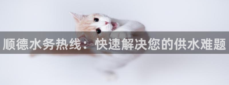 球友会官网入口网址