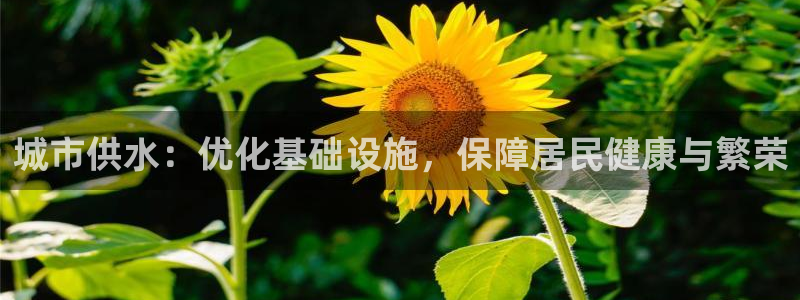 球友会app官方网站