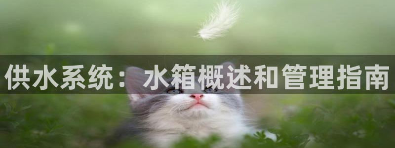 关键词