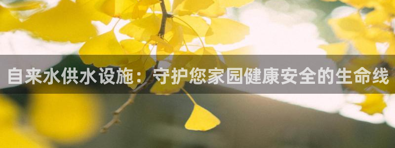 球友会体育app下载官网苹果