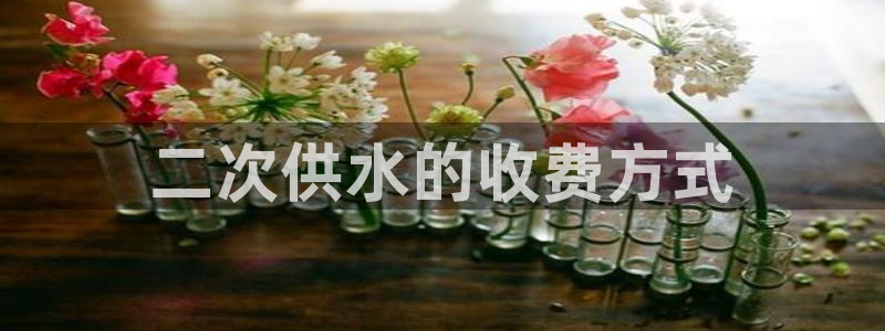 QY球友会体育官网