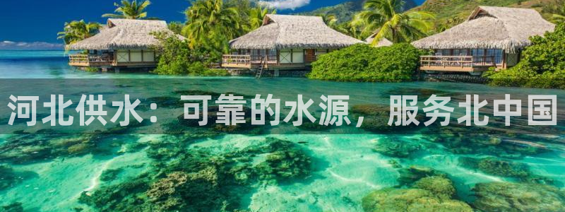 QY球友会体育官网