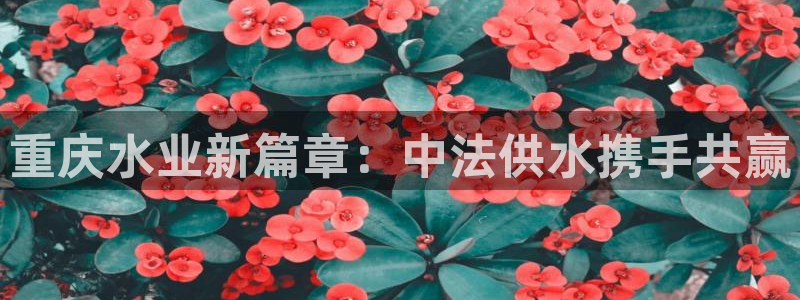 qy球友会体育(中国)官方网站