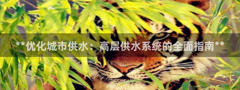 球友会台球俱乐部在哪