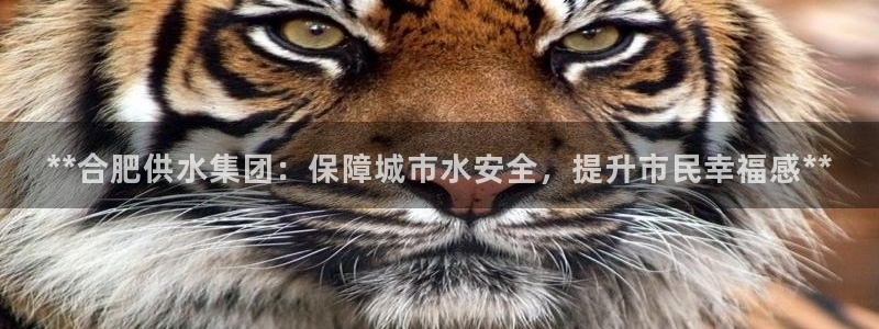 QY球友会
