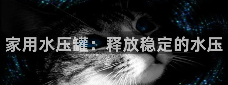 qy球友会体育官下载