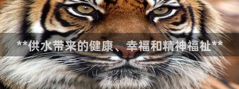 球友会app官方网站