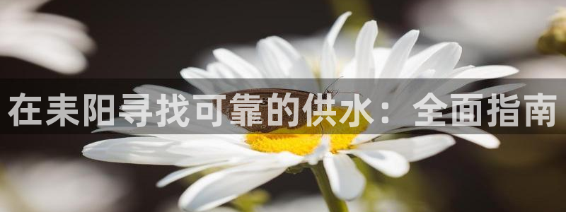 QY球友会官网