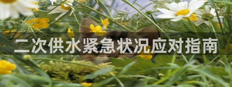 球友会体育app官方版下载安装苹果手机