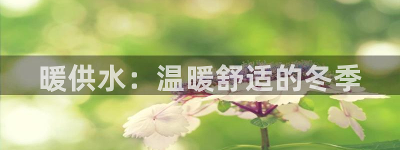 球友会app官网下载苹果