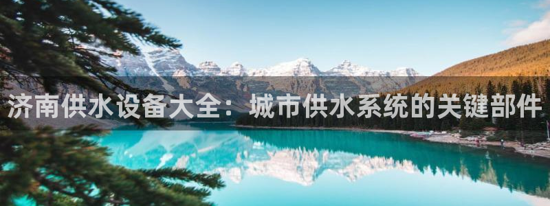 球友会体育app官方版下载安装手机
