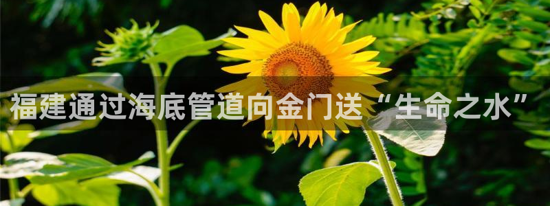 球友会体育官网