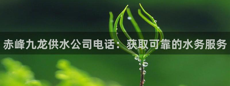 球友会地址