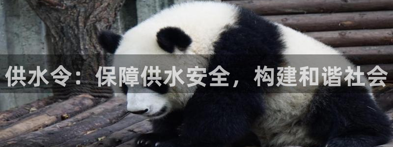 球友会提款审核
