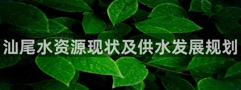 球友会App