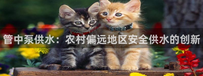 球友会app干啥的