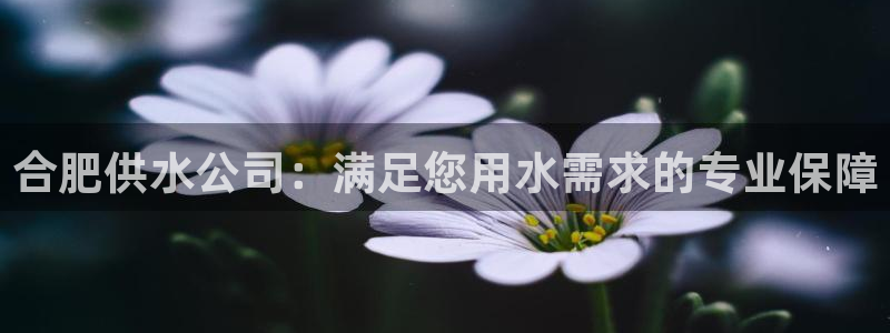 球友会的会字是哪个会