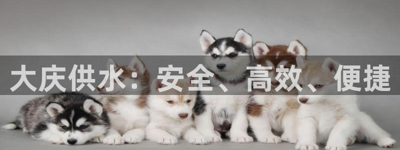 球友会体育app官方版下载安装