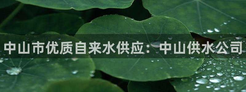 球友会体育app下载安卓手机